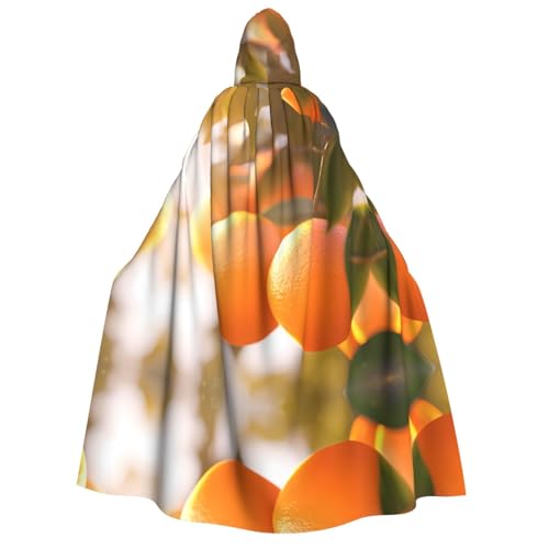 POEZJZW Tangerine Kapuzenumhang für Erwachsene für Damen und Herren, Halloween-Kostüm, Maskerade, Cosplay, Kostüm, Weihnachten, Party, Robe POEZJZW Tangerine Kapuzenumhang für Erwachsene für Damen und Herren, Halloween-Kostüm, Maskerade, Cosplay, Kostüm, Weihnachten, Party, Robe von POEZJZW