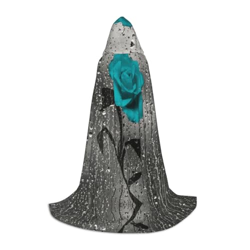 POEZJZW Umhang mit Kapuze, für Erwachsene, Renaissance, Halloween, Hexenkostüm, Zaubererumhang, Größe L, Blaugrün / Grau POEZJZW Umhang mit Kapuze, für Erwachsene, Renaissance, Halloween, Hexenkostüm, Zaubererumhang, Größe L, Blaugrün / Grau von POEZJZW