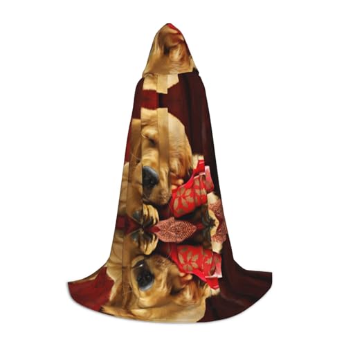 POEZJZW Umhang mit Kapuze für Erwachsene mit Hundemuster, für Renaissance, Halloween, Hexenkostüm, Zauberer-Umhang, Größe M von POEZJZW