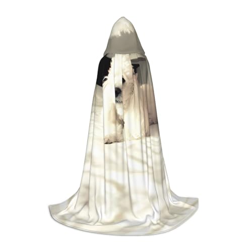 POEZJZW Umhang mit Kapuze für Erwachsene mit Pudelmuster, für Renaissance, Halloween, Hexenkostüm, Zauberer-Umhang, Größe S von POEZJZW