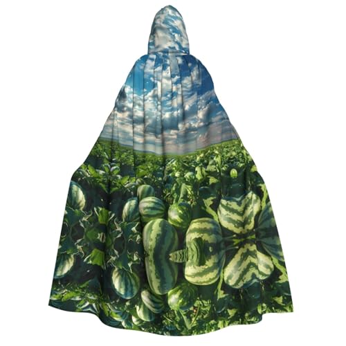 POEZJZW Wassermelonenfeld-Umhang mit Kapuze für Erwachsene für Damen und Herren, Halloween-Kostüm, Maskerade, Cosplay, Kostüm, Weihnachten, Party, Robe POEZJZW Wassermelonenfeld-Umhang mit Kapuze für Erwachsene für Damen und Herren, Halloween-Kostüm, Maskerade, Cosplay, Kostüm, Weihnachten, Party, Robe von POEZJZW