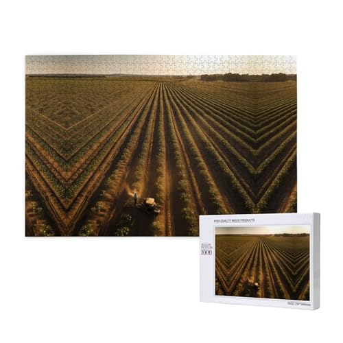 Poezjzw Land of Hope Puzzles für Erwachsene, 1000 Teile, Holzpuzzle für Familie, Freunde, Heimdekoration, Wandkunst, 75 x 50 cm von POEZJZW