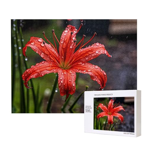 Poezjzw Puzzles für Erwachsene, 500 Teile, geeignet für Familienfreizeit und Verbesserung der praktischen Fähigkeit, rote Lilien in Blüte Poezjzw Puzzles für Erwachsene, 500 Teile, geeignet für Familienfreizeit und Verbesserung der praktischen Fähigkeit, rote Lilien in Blüte von POEZJZW