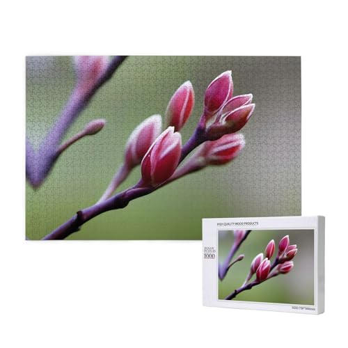 Poezjzw Spring Buds Klassisches Puzzle für Erwachsene, 1000 Teile, Holzpuzzle, moderne Heimdekoration, intellektuelles Spiel, 75 x 50 cm von POEZJZW