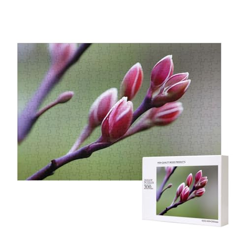 Poezjzw Spring Buds Klassisches Puzzle für Erwachsene, 300 Teile, Holzpuzzle, moderne Wohnkultur, intellektuelles Spiel, 40 x 28 cm von POEZJZW
