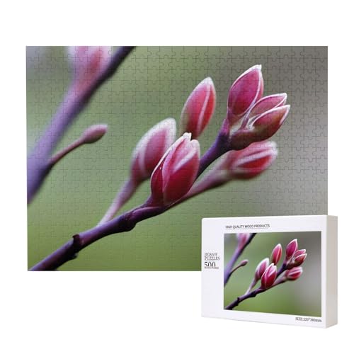 Poezjzw Spring Buds Klassisches Puzzle für Erwachsene, 500 Teile, Holzpuzzle, moderne Wohnkultur, intellektuelles Spiel, 52 x 38 cm von POEZJZW