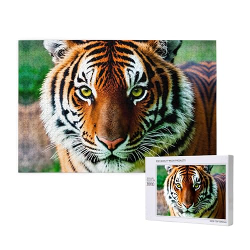 Poezjzw Tiger Klassisches Puzzle für Erwachsene, 1000 Teile, Holzpuzzle, moderne Wohnkultur, intellektuelles Spiel, 75 x 50 cm von POEZJZW