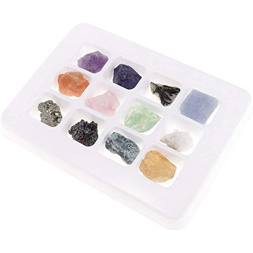POFET Pädagogische Geologie Wissenschaft Kit Rock & Mineral Collection PK546-5 Packung mit 12 Stück,Mineralsteinsammlung, Geologie, Bildung, Energiekristalle, natürliche Mineralerzexemplare POFET Pädagogische Geologie Wissenschaft Kit Rock & Mineral Collection PK546-5 Packung mit 12 Stück,Mineralsteinsammlung, Geologie, Bildung, Energiekristalle, natürliche Mineralerzexemplare von POFET