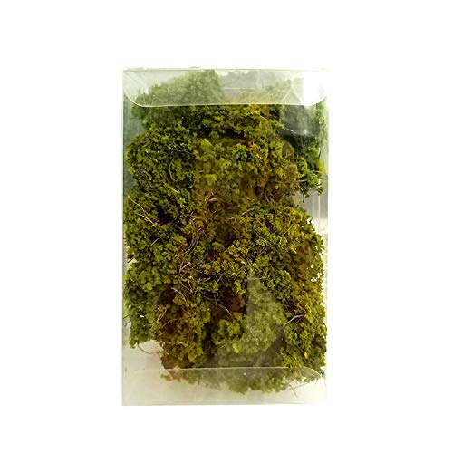 POHOVE Gras Tufts Sandtisch-Set, DIY Miniatursträucher, Büsche, Laubbaum, Statisches Kriegsspiel-Landschaftsmodell, für Kriegsspiel-Layout, Sandtisch, Wargame-Terrain Dekoration von POHOVE