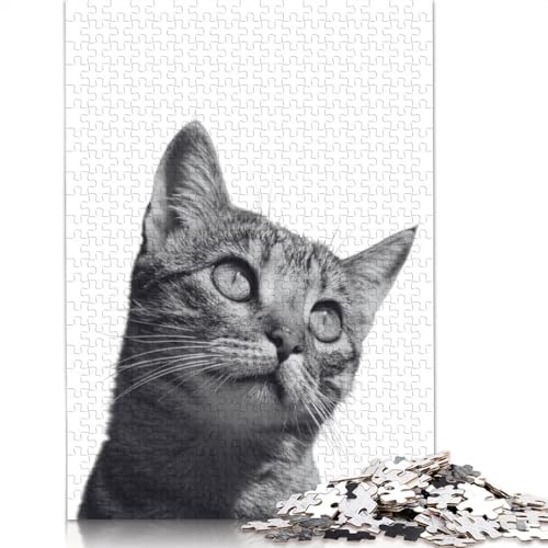 1000 Teile Puzzle mit Katzen und Kätzchen, Tiere, Puzzle für Erwachsene, Schwierigkeitsgrad: Puzzle, Lernspiele, Spielzeug, Familiendekoration, 1000 Teile (38 x 26 cm) von POLIUAWS