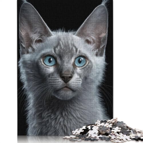Graue Katze mit blauen Augen, 1000-teiliges Puzzle für Erwachsene, Spielzeug, Denkspiel, Lernspiel für Erwachsene, Stressabbau, Heimdekoration, 1000 Teile (75 x 50 cm) von POLIUAWS
