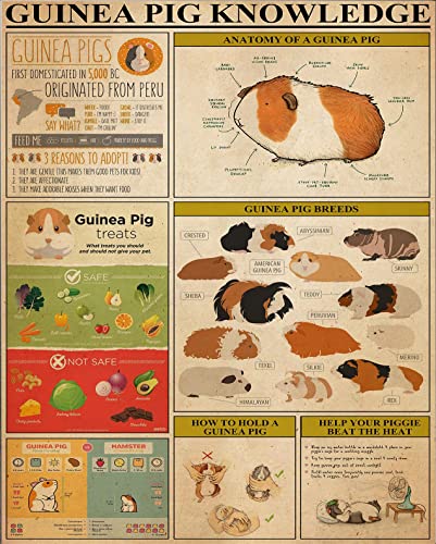 Meerschweinchen Wissen Meerschweinchen Puzzle Erwachsene 500 Teile Familie Dekoration Bild Holz Puzzles von POMOTER