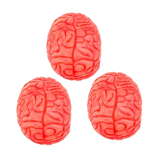 POPETPOP 3Stücke Halloween Menschliches Requisiten Gruselige Körperorgan Teile für Spukhaus und Horrorpartys Langlebige Vinyl Dekoration Täusche Freunde POPETPOP 3Stücke Halloween Menschliches Requisiten Gruselige Körperorgan Teile für Spukhaus und Horrorpartys Langlebige Vinyl Dekoration Täusche Freunde von POPETPOP