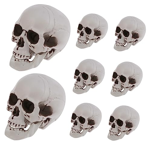 POPETPOP 8stücke Halloween Schädel Modell Realistische Dekoration Für Gruselige Partys Und Geisterhäuser Aus Robustem Für Innen Und Außendekoration POPETPOP 8stücke Halloween Schädel Modell Realistische Dekoration Für Gruselige Partys Und Geisterhäuser Aus Robustem Für Innen Und Außendekoration von POPETPOP