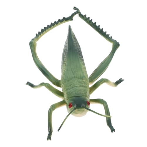 POPETPOP Heuschreckenverzierungen Fehler Für Mini-tierfiguren Ameisenmodell Aus Kunststoff Cricket-streich Gefälschte Fehler Gefälschte Cricket-Requisiten PVC Grün POPETPOP Heuschreckenverzierungen Fehler Für Mini-tierfiguren Ameisenmodell Aus Kunststoff Cricket-streich Gefälschte Fehler Gefälschte Cricket-Requisiten PVC Grün von POPETPOP