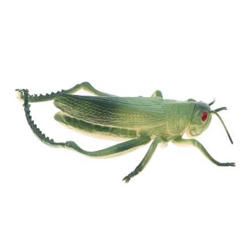 POPETPOP Insektenmodell Insekten lernspielzeug Statue Spielzeuginsekt Lernspielzeug Insekten Fehler für Streichspielzeug für Tiere PVC Green POPETPOP Insektenmodell Insekten lernspielzeug Statue Spielzeuginsekt Lernspielzeug Insekten Fehler für Streichspielzeug für Tiere PVC Green von POPETPOP