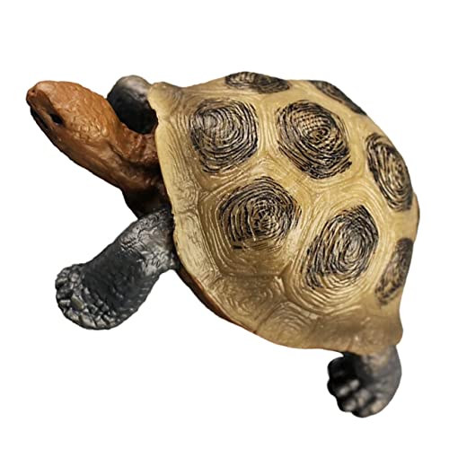 POPETPOP Kognitives Schildkrötenmodell Realistische Plastik Schildkröte Dekoration für Kinderzimmer und Garten Lernspielzeug für Kreative Gestaltung POPETPOP Kognitives Schildkrötenmodell Realistische Plastik Schildkröte Dekoration für Kinderzimmer und Garten Lernspielzeug für Kreative Gestaltung von POPETPOP