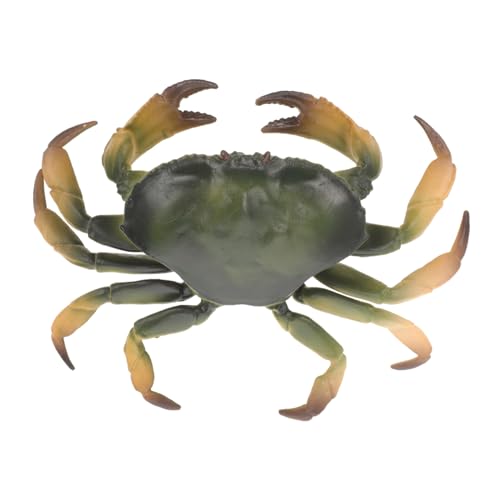 POPETPOP Krabbenmodell Realistisches Aquarium Dekorationsspielzeug für Künstliche für Terrarien für Kreative Spielideen und Lernzwecke Frei Glatte Oberfläche POPETPOP Krabbenmodell Realistisches Aquarium Dekorationsspielzeug für Künstliche für Terrarien für Kreative Spielideen und Lernzwecke Frei Glatte Oberfläche von POPETPOP