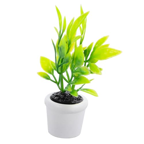 POPETPOP Künstliche Bonsai Miniaturpflanze für Puppenhaus Dekoration Lebendig und Realistisch Hochwertiges Langlebiges Material Perfektes Hauszubehör für Kreative Szenen POPETPOP Künstliche Bonsai Miniaturpflanze für Puppenhaus Dekoration Lebendig und Realistisch Hochwertiges Langlebiges Material Perfektes Hauszubehör für Kreative Szenen von POPETPOP