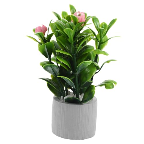 POPETPOP Miniatur Bonsai Pflanzen Im Topf Dekorative Pflanzen Kunstpflanzen Für Innenräume Accessoires Für Kleine Häuser POPETPOP Miniatur Bonsai Pflanzen Im Topf Dekorative Pflanzen Kunstpflanzen Für Innenräume Accessoires Für Kleine Häuser von POPETPOP