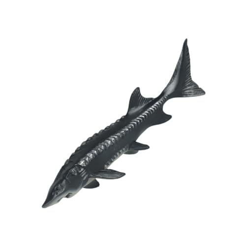 POPETPOP Kunststoff Fischmodell für Realistisches Tiermodell für Kognitive Entwicklung und Spielerisches Lernen für Jahre Alte Jungen POPETPOP Kunststoff Fischmodell für Realistisches Tiermodell für Kognitive Entwicklung und Spielerisches Lernen für Jahre Alte Jungen von POPETPOP