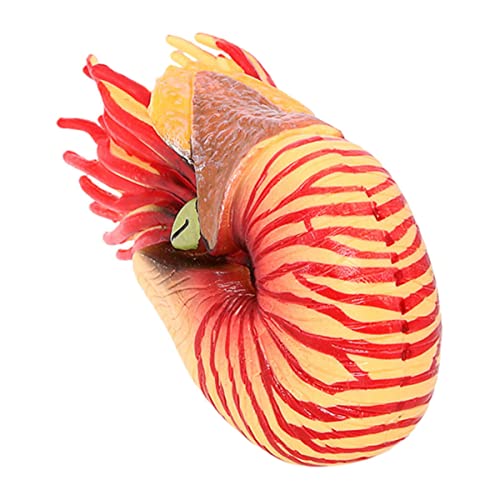 POPETPOP Muschel Ornament Kinderzimmer Dekoration Kinderzimmer-Dekoration Meerestier-Dekoration für Kinderzimmer Nautilus-Ornament Kinderspielzeug Nautilus Plastik von POPETPOP