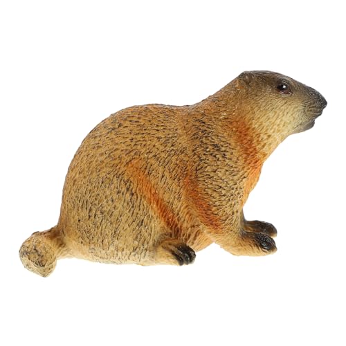 POPETPOP Realistische Figur Simulation Tiermodell Dekoration für Zuhause Garten Tisch Kindergarten Lernspielzeug Sicher Glatte Oberfläche von POPETPOP