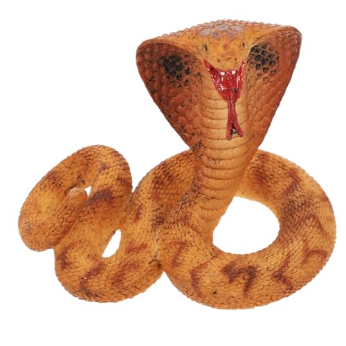 POPETPOP Realistische Kunststoff Figur für Reptilien Modell mit Detailgetreuer Simulation Pädagogisches Tier Figurenset zur Kognitiven und Dekoration POPETPOP Realistische Kunststoff Figur für Reptilien Modell mit Detailgetreuer Simulation Pädagogisches Tier Figurenset zur Kognitiven und Dekoration von POPETPOP