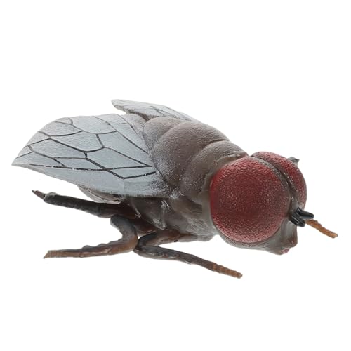 POPETPOP Realistisches Fliegenmodell für Kognitives Lernspielzeug aus Sicherem Material für Streiche Halloween Dekoration Verschönerung von Räumen Überraschungselement POPETPOP Realistisches Fliegenmodell für Kognitives Lernspielzeug aus Sicherem Material für Streiche Halloween Dekoration Verschönerung von Räumen Überraschungselement von POPETPOP