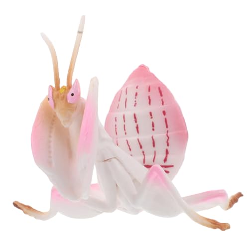 POPETPOP Realistisches Insektenmodell Mantis Figur Kunststoff für Lernspielzeug und Desktop Deko Detailgetreue Nachbildung für Schule Kindergarten und Zuhause von POPETPOP