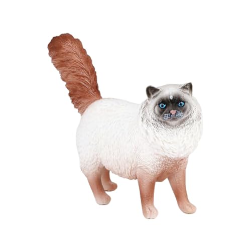 POPETPOP Simulation Katzenmodell aus Kunststoff Kognitives für Dekoration für Zuhause Lebensechte Katzenfigur für Kreatives und Lernen für Bildung und POPETPOP Simulation Katzenmodell aus Kunststoff Kognitives für Dekoration für Zuhause Lebensechte Katzenfigur für Kreatives und Lernen für Bildung und von POPETPOP