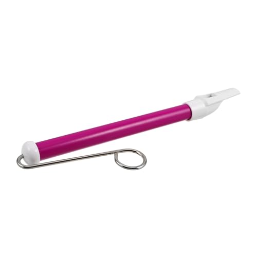 POPETPOP Sliding Pull Flute Für Junge Mädchen Lustiges Blasinstrument Für Anfänger Leicht Zu Erlernen Für Musikunterricht Und Kreative Spiele Erhältlich von POPETPOP