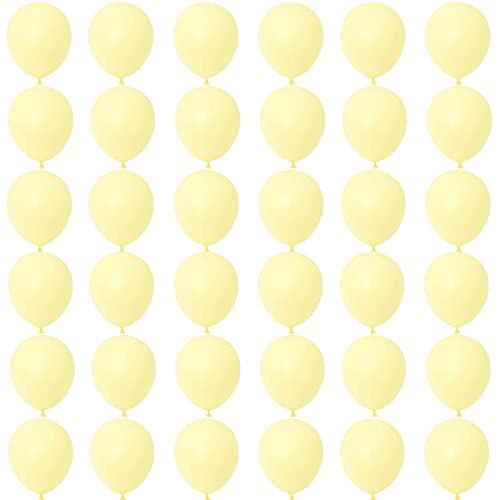 Kleine Luftballons Mini Pastell Gelb 5 Zoll,36 Stück Macaron Gelb Luftballons Helium Ballons,Hellgelb Latex Luftballons für Geburtstag,Hochzeit,Geschlecht Offenbaren,Brautdusche,Babyparty Dekorationen von POPOYU