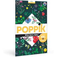 POPPIK DIS016 Sticker Lernposter Botanik POPPIK DIS016 Sticker Lernposter Botanik von POPPIK