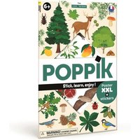 POPPIK DIS031 Sticker Lernposter Bäume von POPPIK