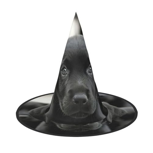 Halloween-Hexenhut mit Welpen-Motiv, breite Krempe, faltbare Kappe, Partys, Arnivals und Rollenspielveranstaltungen Halloween-Hexenhut mit Welpen-Motiv, breite Krempe, faltbare Kappe, Partys, Arnivals und Rollenspielveranstaltungen von PPHGUT