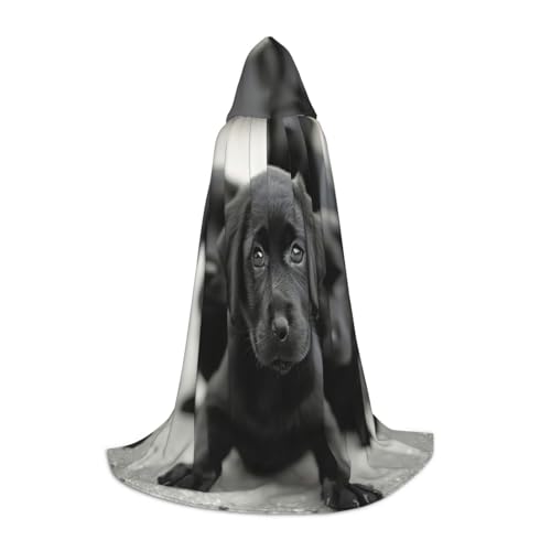 Kapuzenumhang mit Welpen-Aufdruck für Halloween, Karneval, Cosplay, Teenager, Kinder, Erwachsene, Zauberer-Themen von PPHGUT