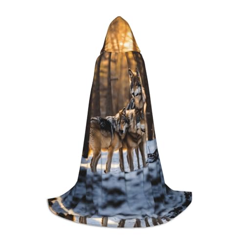 PPHGUT Kapuzenumhang mit Wolfs-Aufdruck, Halloween, Karneval, Cosplay, Teenager, Kinder, Erwachsene, Zauberer-Themen von PPHGUT
