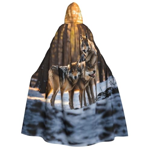 PPHGUT Umhang mit Wolfsaufdruck, Unisex, Halloween-Kostüm, Karneval, Mottopartys, Cosplay von PPHGUT