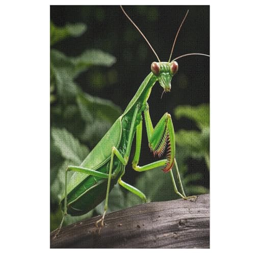 Animal Gottesanbeterin Puzzle Für Erwachsene,1000-teiliges Puzzles, Für Kinder,Holzpuzzle,Lernspielzeug, （78×53cm） von PPZYY