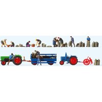 PREISER 13008 H0 Kartoffelernte. 11 handbemalt PREISER 13008 H0 Kartoffelernte. 11 handbemalt von PREISER