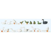 PREISER 14167 H0 Enten, Gänse und Schwäne PREISER 14167 H0 Enten, Gänse und Schwäne von PREISER