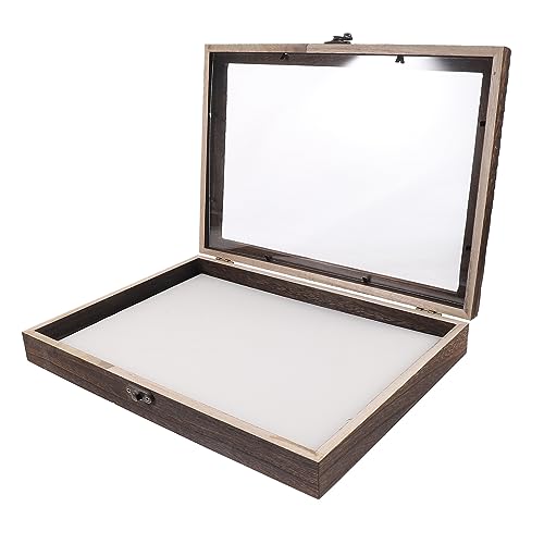 PRETYZOOM 1 Set Box Insektenprobenbox Schmetterlinge Winziger Probenbehälter Schmetterlingsprobenanzeige Indoor Rustikale Insekten Schmetterlingsvitrine Insektenprobenkoffer Proben Acryl von PRETYZOOM