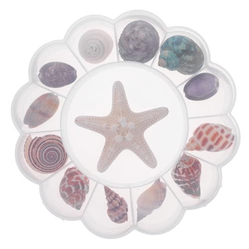 PRETYZOOM Aquarium- – 13 Stück Muscheln Muschel-Ornament – natürliche Muscheln Zum Basteln PRETYZOOM Aquarium- – 13 Stück Muscheln Muschel-Ornament – natürliche Muscheln Zum Basteln von PRETYZOOM