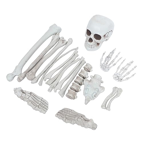 PRETYZOOM 1Satz Menschliche Skelettknochen aus Teiliges für Halloween Dekoration für Partys Escape Rooms Gruselige Anlässe Langlebig Leicht von PRETYZOOM