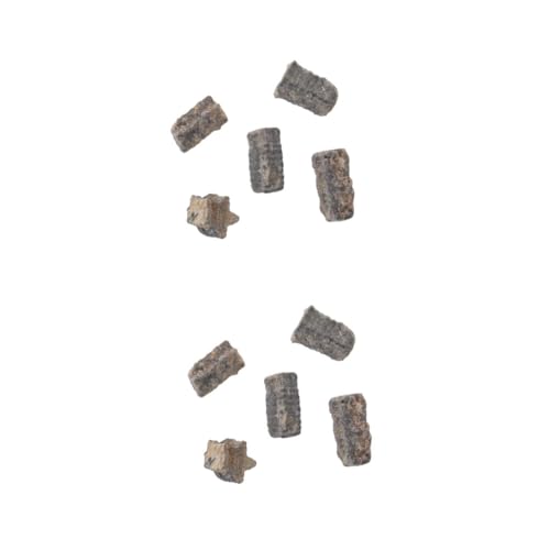 PRETYZOOM 2 Stck. Teiliges Fossilierte Seesterne als Lehrmaterial für Unterricht Dekoratives Modell für Paläontologie Mineralien Dekoration für Klassenzimmer Zuhause PRETYZOOM 2 Stck. Teiliges Fossilierte Seesterne als Lehrmaterial für Unterricht Dekoratives Modell für Paläontologie Mineralien Dekoration für Klassenzimmer Zuhause von PRETYZOOM