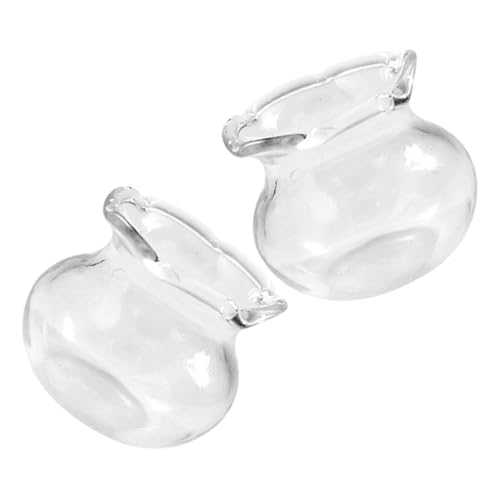 PRETYZOOM 2 Stücke Miniatur Glas Fisch Schalen Für Handwerk Winzigen Aquarium Tank Modell Für Wohnkultur von PRETYZOOM