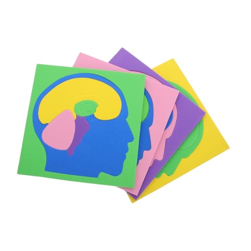 PRETYZOOM 4 Stück Gehirnrätsel für Gehirn-Puzzle Gehirnmodell für den Unterricht Anatomiemodell des menschlichen Gehirns Lernspielzeug für menschliche Gehirnteile Stammspiel Eva PRETYZOOM 4 Stück Gehirnrätsel für Gehirn-Puzzle Gehirnmodell für den Unterricht Anatomiemodell des menschlichen Gehirns Lernspielzeug für menschliche Gehirnteile Stammspiel Eva von PRETYZOOM