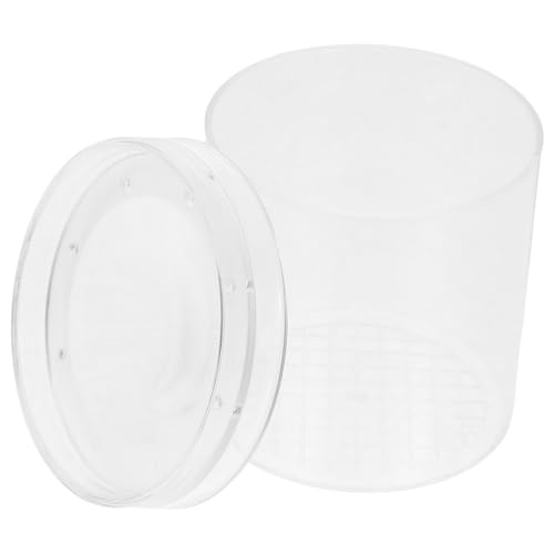 PRETYZOOM Box Cricket Cage Bug Viewer Bug Catcher Kit Bug Collector Vergrößerungsglas Kunststoff Transparent PRETYZOOM Box Cricket Cage Bug Viewer Bug Catcher Kit Bug Collector Vergrößerungsglas Kunststoff Transparent von PRETYZOOM