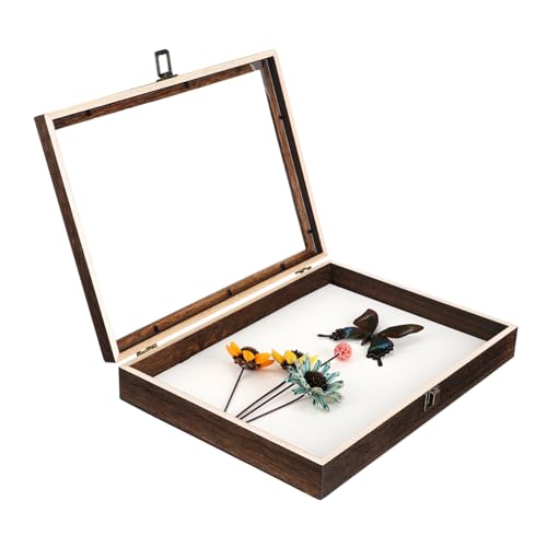 PRETYZOOM Box Exemplar Vitrine Großer Rahmen Museums Exemplarhalter Exemplarbehälter Exemplar Ausstellungshalter Exemplarrahmen Aus Holz von PRETYZOOM
